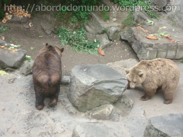 No fosso do palacio de Cesky Krumlov, tem uma família de ursos