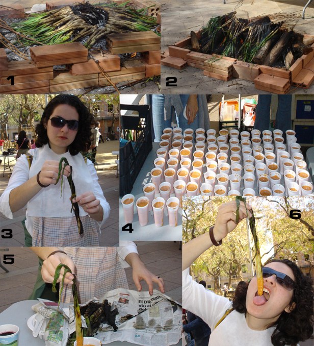 1. assando os calçots 2. que ficam tostados por fora  3. tirando o queimado  4. preparando a salsa  5. mergulhando o calçot na salsa  6. e tentando comer sem fazer muita bagunça