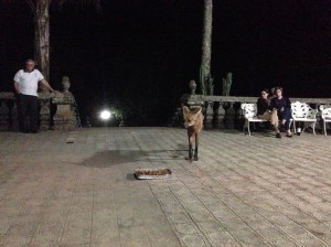 Lobo guará vindo comer pertinho da gente. Caraça, Minas Gerais