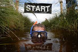Bog snorkelling4