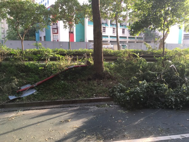 arvore-e-placas-derrubadas-apos-furacao-hong-kong-abordodomundo