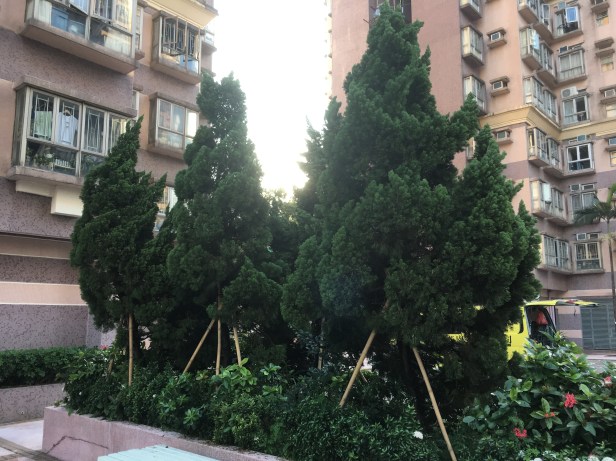 ...e tiveram que ser escoradas