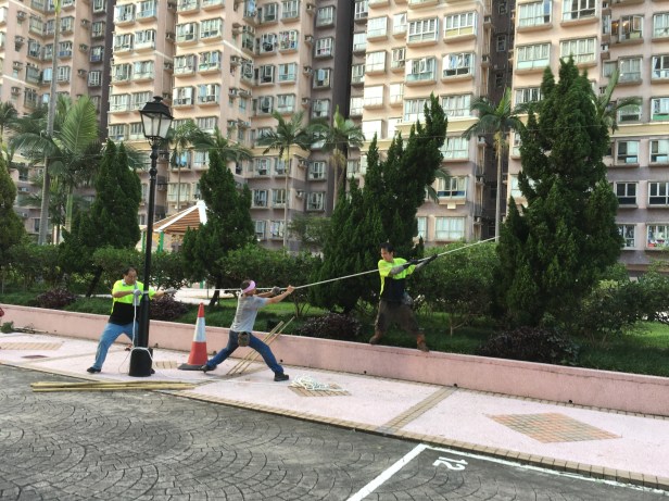 escorando-arvores-tortas-apos-furacao-hong-kong-abordodomundo