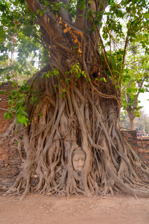 Ayuattha tailandia 2-abordodomundo